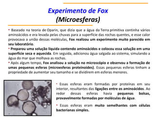 Experimento de Fox
(Microesferas)
• Baseado na teoria de Oparin, que dizia que a água da Terra primitiva continha vários
aminoácidos e era levada pelas chuvas para a superfície das rochas quentes, e esse calor
provocava a união dessas moléculas, Fox realizou um experimento muito parecido em
seu laboratório.
• Preparou uma solução líquida contendo aminoácidos e colocou essa solução em uma
superfície seca e aquecida. Em seguida, adicionou água salgada ao sistema, simulando a
água do mar que molhava as rochas.
• Após algum tempo, Fox analisou a solução no microscópio e observou a formação de
umas pequenas esferas (microesferas proteinoides). Essas pequenas esferas tinham a
propriedade de aumentar seu tamanho e se dividirem em esferas menores.
• Essas esferas eram formadas por proteínas em seu
interior, resultantes das ligações entre os aminoácidos. Ao
redor dessas esferas havia pequenas bolsas,
provavelmente formadas por moléculas de água.
• Essas esferas eram muito semelhantes com células
bacterianas simples.
 