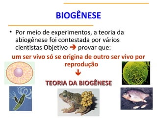 BIOGÊNESE
• Por meio de experimentos, a teoria da
abiogênese foi contestada por vários
cientistas Objetivo  provar que:
um ser vivo só se origina de outro ser vivo por
reprodução

TEORIA DA BIOGÊNESE
TEORIA DA BIOGÊNESE
www.bioloja.com
 