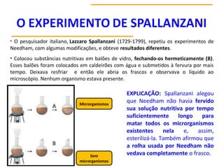 • O pesquisador italiano, Lazzaro Spallanzani (1729-1799), repetiu os experimentos de
Needham, com algumas modificações, e obteve resultados diferentes.
• Colocou substâncias nutritivas em balões de vidro, fechando-os hermeticamente (B).
Esses balões foram colocados em caldeirões com água e submetidos à fervura por mais
tempo. Deixava resfriar e então ele abria os frascos e observava o líquido ao
microscópio. Nenhum organismo estava presente.
EXPLICAÇÃO: Spallanzani alegou
que Needham não havia fervido
sua solução nutritiva por tempo
suficientemente longo para
matar todos os microrganismos
existentes nela e, assim,
esterilizá-la. Também afirmou que
a rolha usada por Needham não
vedava completamente o frasco.
Microrganismos
Sem
microrganismos
 