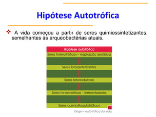 Hipótese Autotrófica
 A vida começou a partir de seres quimiossintetizantes,
semelhantes às arqueobactérias atuais.
 