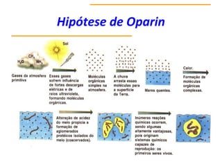 Hipótese de Oparin
 