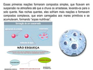 Essas primeiras reações formaram compostos simples, que ficavam em
suspensão na atmosfera até que a chuva os arrastasse, levando-os para o
solo quente. Nas rochas quentes, eles sofriam mais reações e formavam
compostos complexos, que eram carregados aos mares primitivos e se
acumulavam, formando “sopas nutritivas”.
 
