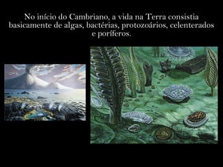 No início do Cambriano, a vida na Terra consistia
basicamente de algas, bactérias, protozoários, celenterados
e poríferos.
 