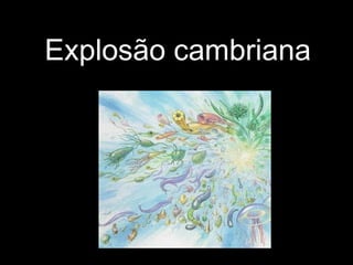 Explosão cambriana
 