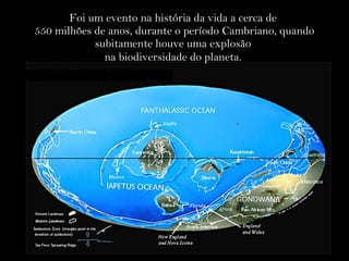 Foi um evento na história da vida a cerca de
550 milhões de anos, durante o período Cambriano, quando
subitamente houve uma explosão
na biodiversidade do planeta.
 