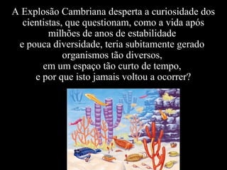 A Explosão Cambriana desperta a curiosidade dos
cientistas, que questionam, como a vida após
milhões de anos de estabilidade
e pouca diversidade, teria subitamente gerado
organismos tão diversos,
em um espaço tão curto de tempo,
e por que isto jamais voltou a ocorrer?
 