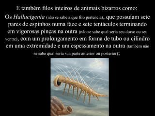 E também filos inteiros de animais bizarros como:
Os Hallucigenia (não se sabe a que filo pertencia), que possuíam sete
pares de espinhos numa face e sete tentáculos terminando
em vigorosas pinças na outra (não se sabe qual seria seu dorso ou seu
ventre), com um prolongamento em forma de tubo ou cilindro
em uma extremidade e um espessamento na outra (também não
se sabe qual seria sua parte anterior ou posterior);
 
