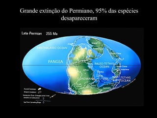 Grande extinção do Permiano, 95% das espécies
desapareceram
 