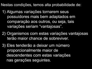 Nestas condições, temos alta probabilidade de:
1) Algumas variações tornarem seus
possuidores mais bem adaptados em
comparação aos outros, ou seja, tais
variações seriam “vantajosas”.
2) Organismos com estas variações vantajosas
terão maior chance de sobreviver.
3) Eles tenderão a deixar um número
proporcionalmente maior de
descendentes com estas variações
nas gerações seguintes.
 