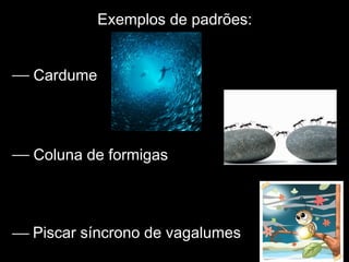 Exemplos de padrões:
 Cardume
 Coluna de formigas
 Piscar síncrono de vagalumes
 