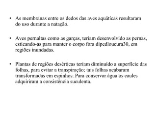 As membranas entre os dedos das aves aquáticas resultaram do uso durante a natação.  Aves pernaltas como as garças, teriam desenvolvido as pernas, esticando-as para manter o corpo fora dipedloucura30, em regiões inundadas.  Plantas de regiões desérticas teriam diminuído a superfície das folhas, para evitar a transpiração; tais folhas acabaram transformadas em espinhos. Para conservar água os caules adquiriram a consistência suculenta.  