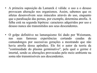 A primeira suposição da Lamarck é válida: o uso a o desuso provocam alteração nos organismos. Assim, sabemos que os atletas desenvolvem seus músculos através do uso, enquanto que a paralisação das pernas, por exemplo, determina atrofia. A falha está na segunda hipótese: caracteres adquiridos por uso e desuso nunca são transmitidos aos seus descendentes.  O golpe definitivo no lamarquismo foi dado por Weismann, nas suas famosas experiências cortando caudas de camundongos por sucessivas gerações a mostrando que não havia atrofia dessa apêndice. Ele foi o autor da teoria da "continuidade do plasma germinativo", pela qual o germe é imortal, sendo as alterações provocadas pelo meio ambiente na soma não transmissíveis aos descendentes. 