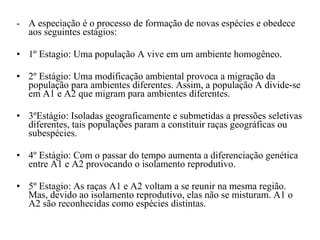 -  A especiação é o processo de formação de novas espécies e obedece aos seguintes estágios:  1º Estagio: Uma população A vive em um ambiente homogêneo.  2º Estágio: Uma modificação ambiental provoca a migração da população para ambientes diferentes. Assim, a população A divide-se em A1 e A2 que migram para ambientes diferentes. 3ºEstágio: Isoladas geograficamente e submetidas a pressões seletivas diferentes, tais populações param a constituir raças geográficas ou subespécies. 4º Estágio: Com o passar do tempo aumenta a diferenciação genética entre A1 e A2 provocando o isolamento reprodutivo. 5º Estagio: As raças A1 e A2 voltam a se reunir na mesma região. Mas, devido ao isolamento reprodutivo, elas não se misturam. A1 o A2 são reconhecidas como espécies distintas. 