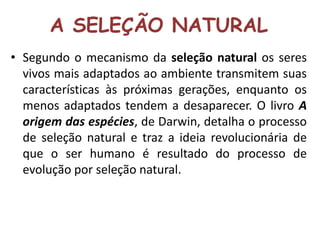 A SELEÇÃO NATURAL 
• Segundo o mecanismo da seleção natural os seres 
vivos mais adaptados ao ambiente transmitem suas 
características às próximas gerações, enquanto os 
menos adaptados tendem a desaparecer. O livro A 
origem das espécies, de Darwin, detalha o processo 
de seleção natural e traz a ideia revolucionária de 
que o ser humano é resultado do processo de 
evolução por seleção natural. 
 
