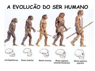 A EVOLUÇÃO DO SER HUMANO 
 