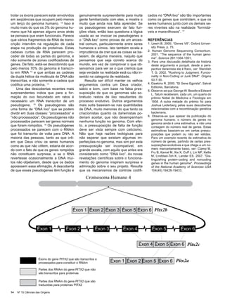 trolar os éxons parecem estar envolvidos         genuinamente surpreendente para muita        cados no “DNA lixo” são tão importantes
em seqüências que ocupam pelo menos              gente familiarizada com eles, e mostra o     como os genes que controlam, e que os
um terço do genoma humano. 12 Isso é             muito que ainda nos falta aprender. Se       seres humanos junto com os demais se-
muito mais do que os 3% do genoma hu-            os pseudogenes exercem de fato fun-          res viventes são na realidade “formidá-
mano que há apenas alguns anos atrás             ções vitais, então isso questiona a lógica   veis e maravilhosos”. 17
se pensava que eram funcionais. Parece           usada ao se invocar os pseudogenes e
que vários fragmentos de RNA de trans-           o “DNA lixo” como provas de um ances-        REFERÊNCIAS
crição intervêm na regulação de cada             tral comum, particularmente entre seres      1. Lewin B. 2000. “Genes VII”. Oxford Univer-
etapa na produção de proteínas. Estas            humanos e símios. Isto também revela a          sity Press. p. 75.
cadeias curtas de RNA parecem pro-               imprudência de crer que as coisas se ba-     2. Human Genome Sequencing Consortium.
                                                                                                 2001. “The sequence of the human geno-
ceder de todas as partes do genoma, e            seiam, de alguma maneira, naquilo que
                                                                                                 me”. Science 291:1304-1351.
não somente de zonas codificadoras de            pensamos que seja correto acerca do          3. Para uma discussão detalhada da história
genes. De fato, está-se descobrindo que          mundo, em vez de comprovar o que ob-            deste argumento e porquê, desde a pers-
pelo menos 70% do genoma é transcri-             servamos para ver se o que cremos que           pectiva darwinista ele é fraco, ver: Standish
to em RNA 13 e que ambas as cadeias              seja verdade na realidade está ou não in-       T. G. 2002. "Rushing to Judgment: Funcio-
da dupla hélice da molécula de DNA são           serido na categoria de realidade.               nality in Non-Coding or Junk DNA". Origins
transcritas, e não somente a cadeia que              Resulta ser difícil manter os velhos        53:7-30.
codifica uma proteína. 14                        argumentos contra um Deus criador,           4. Dawkins R. 2000. "El Gene Egoísta". Salvat
                                                                                                 Editores, Barcelona.
    Uma das descobertas recentes mais            sábio e bom, com base na falsa pres-
                                                                                              5. Observe-se que George W. Beadle e Edward
surpreendentes indica que para a for-            suposição de que os genomas são so-             L. Tatum receberam, cada um, um quarto do
mação do ovo fecundado em ratos é                bretudo restos de lixo resultantes do           prêmio Nobel de Medicina e Fisiologia em
necessário um RNA transcritor de um              processo evolutivo. Outros argumentos           1958. A outra metade do prêmio foi para
pseudogene. 15 Os pseudogenes são                mais sutis baseiam-se nas quantidades           Joshua Lederberg pelas suas descobertas
uma forma de “DNA lixo” que se podem             de DNA, muito menores do que tanto os           relacionadas com a recombinação genética
dividir em duas classes: “processados” e         criacionistas quanto os darwinistas po-         bacteriana.
“não processados”. Os pseudogenes não            deriam aceitar, que não desempenham          6. Observe-se que apesar da publicação do
                                                                                                 genoma humano, o número de genes no
processados parecem ser genes normais            nenhuma função no genoma. Com efei-
                                                                                                 genoma ainda é uma estimativa, e não uma
que foram rompidos. 16 Os pseudogenes            to, a pressuposição de falta de função          contagem do número real de genes. Estas
processados se parecem com o RNAm                deve ser vista sempre com ceticismo.            estimativas baseiam-se em certas pressu-
que foi transcrito de volta para DNA. A          Não que haja razões teológicas para             posições que podem ou não ser válidas.
maioria das pessoas, tanto as que crê-           não esperar que existam algumas im-             Para um exemplo recente da estimativa do
em que Deus criou os seres humanos               perfeições no genoma, mas sim por esta          número de genes, partindo de certas pres-
como as que não crêem, estaria de acor-          pressuposição ser incompatível, em              suposições evolutivas e que chega a um nú-
do com o fato de que os genes rompidos           grande escala, com aquilo que antes era         mero marcantemente baixo, ver: Clamp M,
                                                                                                 Fry B, Kamal M, Xie X, Cuff J, Lin MF, Kellis
não constituem surpresa, e se o RNA              considerado como “DNA lixo”. As novas
                                                                                                 M, Lindblad-Toh K, Lander ES. 2007. "Dis-
revertesse ocasionalmente a DNA mui-             revelações científicas sobre o funciona-        tinguishing protein-coding and noncoding
tos não objetariam, desde que os dados           mento do genoma inspiram surpresa e             genes in the human genome". Proceedings
apoiassem essa afirmação. A descoberta           admiração sobre o seu projeto. Resulta          of the National Academy of Sciences USA
de que esses pseudogenes têm função é            que os mecanismos de controle codifi-           104(49):19428-19433.

                                                      Cromosoma Humano 4




                                             Éxon 1 Éxon 2 Éxon 3 Éxon 5 Éxon 6 Pitx2b



                    Éxon 1              Éxon 2              Éxon 3            Éxon 4             Éxon 5               Éxon 6


                                                                                        Éxon 4 Éxon 5 Éxon 6 Pitx2c


                     Éxons do gene PITX2 que são transcritos e
                     processados para constituir o RNAm              Éxon 1 Éxon 2 Éxon 5 Éxon 6 Pitx2a
                      Partes dos RNAm do gene PITX2 que não
                      são transcritos para proteínas

                      Partes dos RNAm do gene PITX2 que são
                      traduzidas para proteínas PITX2

14   Nº 15 Ciências das Origens
 