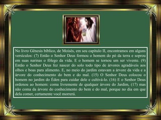 No livro Gênesis bíblico, de Moisés, em seu capítulo II, encontramos em alguns
versículos: (7) Então o Senhor Deus formou o homem do pó da terra e soprou
em suas narinas o fôlego da vida. E o homem se tornou um ser vivente. (9)
Então o Senhor Deus fez nascer do solo todo tipo de árvores agradáveis aos
olhos e boas para alimento. E, no meio do jardim estavam a árvore da vida e a
árvore do conhecimento do bem e do mal. (15) O Senhor Deus colocou o
homem no jardim do Éden para cuidar dele e cultivá-lo. (16) E o Senhor Deus
ordenou ao homem: coma livremente de qualquer árvore do Jardim, (17) mas
não coma da árvore do conhecimento do bem e do mal, porque no dia em que
dela comer, certamente você morrerá.
 