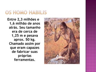 Entre 2,3 milhões e
 1,6 milhão de anos
 atrás. Seu tamanho
   era de cerca de
   1,25 m e pesava
    aprox. 50 kg.
 Chamado assim por
  que eram capazes
   de fabricar suas
       próprias
     ferramentas.
 