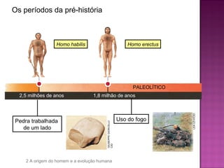Os períodos da pré-história



                 Homo habilis                                     Homo erectus




                                                                    PALEOLÍTICO
  2,5 milhões de anos             1,8 milhão de anos




                                                                                  LEA LEVI/CID
Pedra trabalhada                                              Uso do fogo
                                        GIUSEPPE GIORCELLI/




   de um lado
                                        CID




    2 A origem do homem e a evolução humana
 