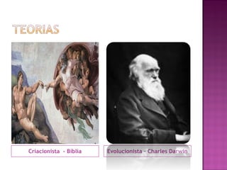 Criacionista - Bíblia   Evolucionista – Charles Darwin
 