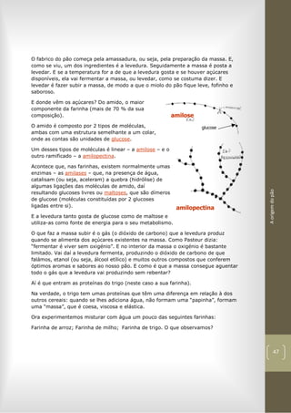 Aorigemdopão
47
O fabrico do pão começa pela amassadura, ou seja, pela preparação da massa. E,
como se viu, um dos ingredientes é a levedura. Seguidamente a massa é posta a
levedar. E se a temperatura for a de que a levedura gosta e se houver açúcares
disponíveis, ela vai fermentar a massa, ou levedar, como se costuma dizer. E
levedar é fazer subir a massa, de modo a que o miolo do pão fique leve, fofinho e
saboroso.
E donde vêm os açúcares? Do amido, o maior
componente da farinha (mais de 70 % da sua
composição).
O amido é composto por 2 tipos de moléculas,
ambas com uma estrutura semelhante a um colar,
onde as contas são unidades de glucose.
Um desses tipos de moléculas é linear – a amilose – e o
outro ramificado – a amilopectina.
Acontece que, nas farinhas, existem normalmente umas
enzimas – as amilases – que, na presença de água,
catalisam (ou seja, aceleram) a quebra (hidrólise) de
algumas ligações das moléculas de amido, daí
resultando glucoses livres ou maltoses, que são dímeros
de glucose (moléculas constituídas por 2 glucoses
ligadas entre si).
E a levedura tanto gosta de glucose como de maltose e
utiliza-as como fonte de energia para o seu metabolismo.
O que faz a massa subir é o gás (o dióxido de carbono) que a levedura produz
quando se alimenta dos açúcares existentes na massa. Como Pasteur dizia:
“fermentar é viver sem oxigénio”. E no interior da massa o oxigénio é bastante
limitado. Vai daí a levedura fermenta, produzindo o dióxido de carbono de que
falámos, etanol (ou seja, álcool etílico) e muitos outros compostos que conferem
óptimos aromas e sabores ao nosso pão. E como é que a massa consegue aguentar
todo o gás que a levedura vai produzindo sem rebentar?
Aí é que entram as proteínas do trigo (neste caso a sua farinha).
Na verdade, o trigo tem umas proteínas que têm uma diferença em relação à dos
outros cereais: quando se lhes adiciona água, não formam uma “papinha”, formam
uma “massa”, que é coesa, viscosa e elástica.
Ora experimentemos misturar com água um pouco das seguintes farinhas:
Farinha de arroz; Farinha de milho; Farinha de trigo. O que observamos?
 