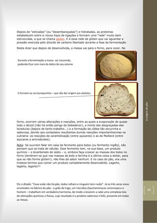 Aorigemdopão
49
Depois de “esticadas” (ou “desembaraçadas”) e hidratadas, as proteínas
estabelecem entre si novos tipos de ligações e formam uma “rede” muito bem
estruturada, a que se chama glúten. E é essa rede de glúten que vai aguentar a
pressão exercida pelo dióxido de carbono libertado durante a fase da fermentação
Resta dizer que depois de desenvolvida, a massa vai para o forno, para cozer. No
forno, ocorrem várias alterações e reacções, entre as quais a evaporação de quase
todo o álcool (não há então perigo de bebedeira!), a morte das desgraçadas das
leveduras (depois de tanto trabalho...) e a formação da côdea tão escurinha e
saborosa, devido aos compostos resultantes dumas reacções importantíssimas na
culinária: as reacções de caramelização (entre açúcares) e as de Maillard (entre
açúcares a aminoácidos).
Nota: Se ouvirem falar em casa de fermento para bolos (ou fermento inglês), não
pensem que se trata de células. Esse fermento tem, na sua base, um produto
químico – o bicarbonato de sódio – e, embora faça crescer as massas dos bolos no
forno (lembrem-se que nas massas de bolo a farinha é a última coisa a deitar, para
que se não forme glúten!), não lhes dá sabor nenhum. E no caso do pão, era uma
tristeza termos que comer um produto completamente desenxabido. Lagarto,
lagarto, lagarto!!!
Diz o ditado: “Casa onde não há pão, todos ralham e ninguém tem razão”. Já os três seres vivos
envolvidos no fabrico do pão - o grão de trigo, um micróbio (Saccharomyces cerevisiae) e o
homem – trabalham em verdadeira harmonia, de modo a levarem a cabo uma complexa teia
de alterações químicas e físicas, cujo resultado é o produto saboroso e fofo, presente em todas
as mesas.
Durante a fermentação a massa
podendo ficar com mais do dobro do seu vo
vai crescendo,
lume
E formam-se uns buraquinhos – que vão dar origem aos alvéolos.
 