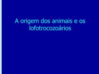 Chapter 31: Animal Origins and Lophotrochozoans
A origem dos animais e os
lofotrocozoários
 