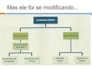 Mas ele foi se modificando...

 