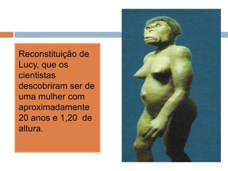Reconstituição de
Lucy, que os
cientistas
descobriram ser de
uma mulher com
aproximadamente
20 anos e 1,20 de
altura.

 