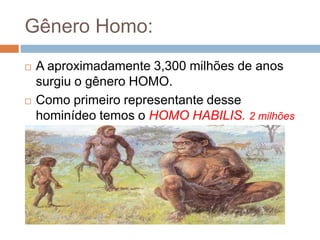 Gênero Homo:




A aproximadamente 3,300 milhões de anos
surgiu o gênero HOMO.
Como primeiro representante desse
hominídeo temos o HOMO HABILIS. 2 milhões

 