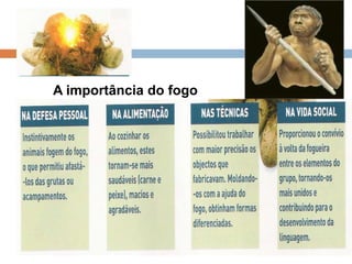 A importância do fogo

 