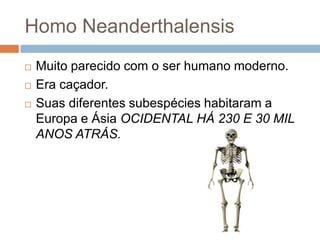 Homo Neanderthalensis




Muito parecido com o ser humano moderno.
Era caçador.
Suas diferentes subespécies habitaram a
Europa e Ásia OCIDENTAL HÁ 230 E 30 MIL
ANOS ATRÁS.

 
