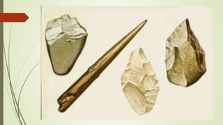 A origem dos seres humanos