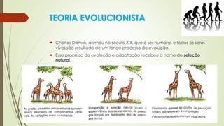 TEORIA EVOLUCIONISTA
 Charles Darwin, afirmou no século XIX, que o ser humano e todos os seres
vivos são resultado de um longo processo de evolução.
 Esse processo de evolução e adaptação recebeu o nome de seleção
natural.
 