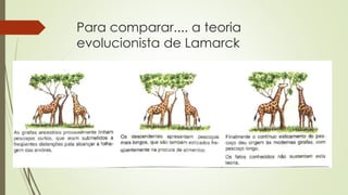 Para comparar.... a teoria
evolucionista de Lamarck
 