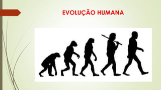 EVOLUÇÃO HUMANA
 