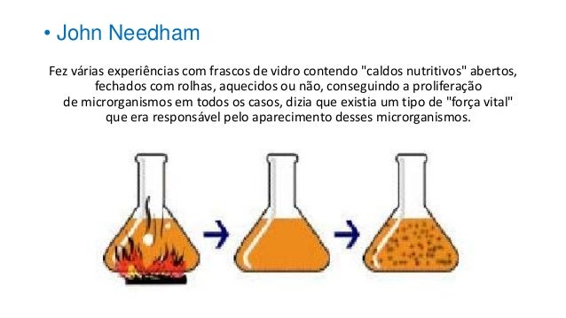 A origem dos seres vivos, confrontando concepções