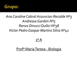 Ana Caroline Cabral Assuncion Recalde Nº3
Andressa Gardim Nº5
Renzo Dinucci Quilici Nº38
Victor Pedro Gaspar Martins Silva Nº41
1º A
Profª MariaTeresa - Biologia
