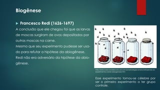 Biogênese
 Francesco Redi (1626-1697)
A conclusão que ele chegou foi que as larvas
de moscas surgiram de ovos depositados por
outras moscas na carne.
Mesmo que seu experimento pudesse ser usa-
do para refutar a hipótese da abiogênese,
Redi não era adversário da hipótese da abio-
gênese.
http://educador.brasilescola.uol.com.br/estrategias-ensino/refazendo-os-
experimentos-sobre-abiogenese.htm
Esse experimento tornou-se célebre por
ser o primeiro experimento a ter grupo
controle.
 