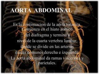 AORTA ABDOMINAL
Es la continuacion de la aorta toracica.
Comienza en el hiato aortico
del diafragma y termina a
nivel de la cuarta vertebra lumbar,
donde se divide en las arterias
iliacas comunes derecha e izquierda.
La aorta abdominal da ramas viscerales y
parietales.
 