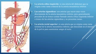 Aorta abdominal | PDF