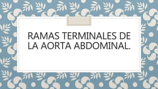 RAMAS TERMINALES DE
LA AORTA ABDOMINAL.
 