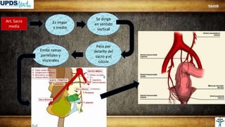 Art. Sacra
media
Es impar
y media
Emite ramas
parietales y
viscerales
Pasa por
delante del
sacro y el
cóccix
Se dirige
en sentido
vertical
YAHIR
 