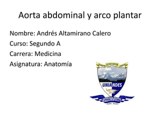 Aorta abdominal y arco plantar
Nombre: Andrés Altamirano Calero
Curso: Segundo A
Carrera: Medicina
Asignatura: Anatomía
 