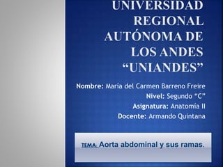 Nombre: María del Carmen Barreno Freire
Nivel: Segundo “C”
Asignatura: Anatomía II
Docente: Armando Quintana
TEMA: Aorta abdominal y sus ramas.
 