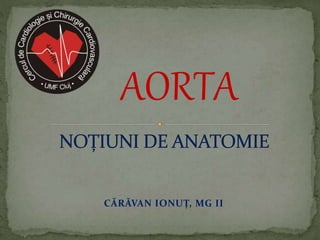CĂRĂVAN IONUȚ, MG II
AORTA
 