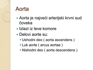 Aorta | PPT