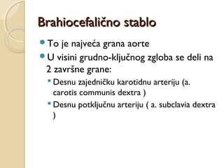 Brahiocefalično stablo
To

je najveća grana aorte
U visini grudno-ključnog zgloba se deli na
2 završne grane:
 Desnu zajedničku karotidnu arteriju (a.
carotis communis dextra )
 Desnu potključnu arteriju ( a. subclavia dextra
)

 