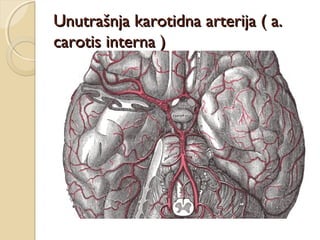 Unutrašnja karotidna arterija ( a.
carotis interna )

 