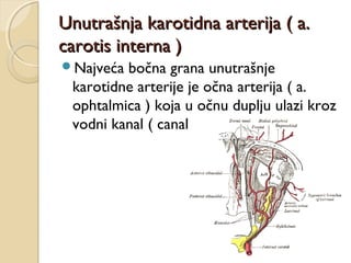 Unutrašnja karotidna arterija ( a.
carotis interna )
Najveća

bočna grana unutrašnje
karotidne arterije je očna arterija ( a.
ophtalmica ) koja u očnu duplju ulazi kroz
vodni kanal ( canalis opticus )

 